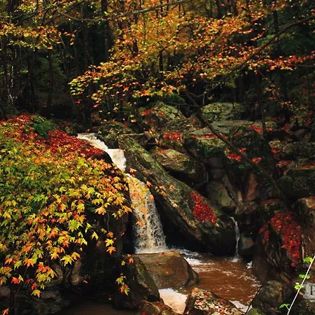 πετράδι Ξενοδοχείο