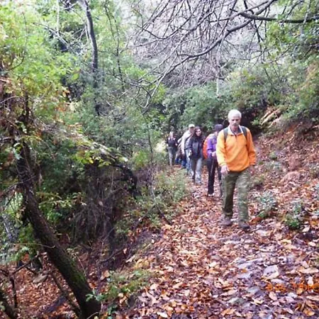 Petradi Kalamaki (Thessaly)